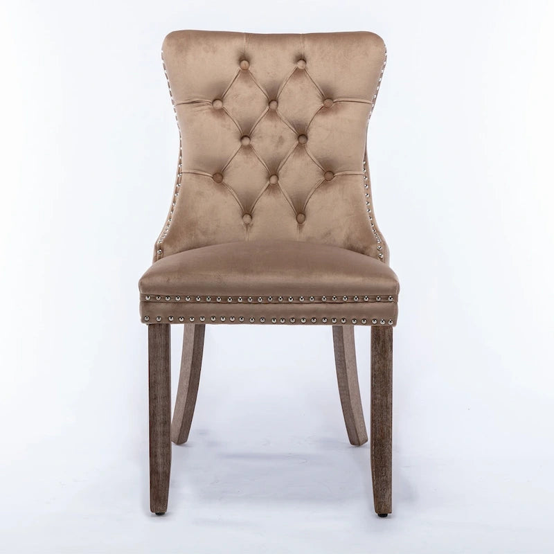 Khaki Velvet Dining Chairs with Nailhead Trim - Set of 2